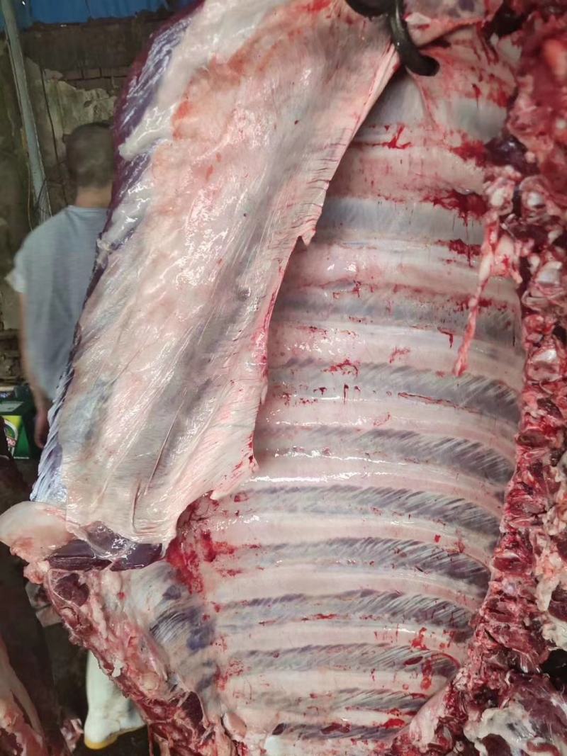 满肉牛排多肉牛排可整发可锯锻一手货源量大价优