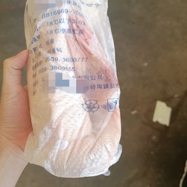 二级全净膛白条鸭全规格