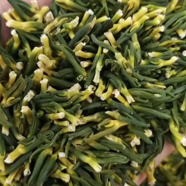 莲子芯新货上市无硫货