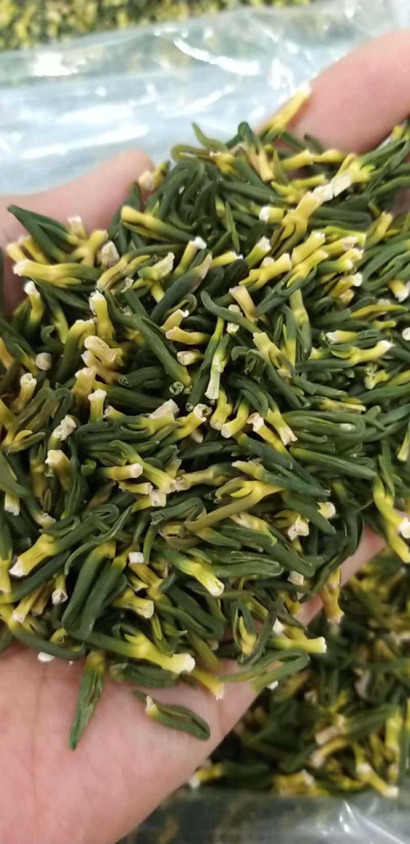 莲子芯新货上市无硫货