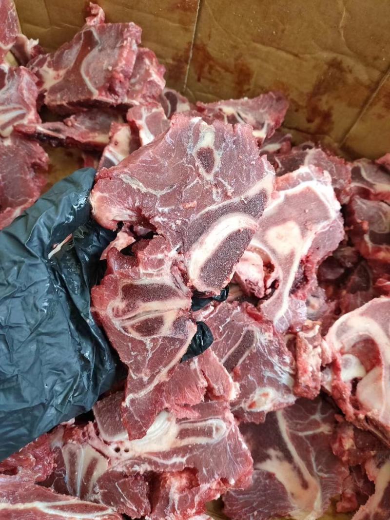 新鲜牛勃骨据块装箱适合饭店炖红烧