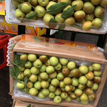 冬枣，青枣，蜜桔，葡萄，苹果