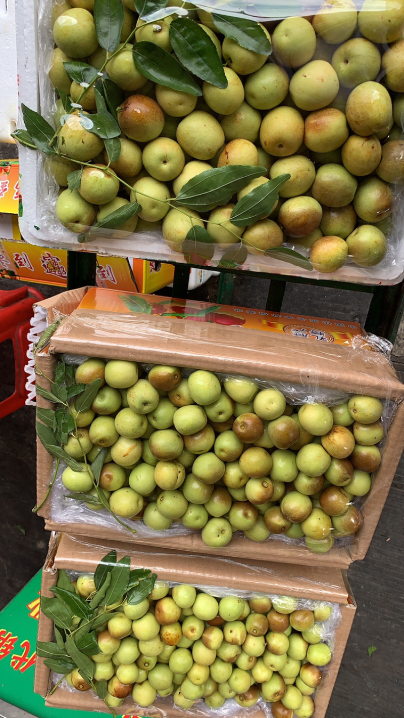 冬枣，青枣，蜜桔，葡萄，苹果