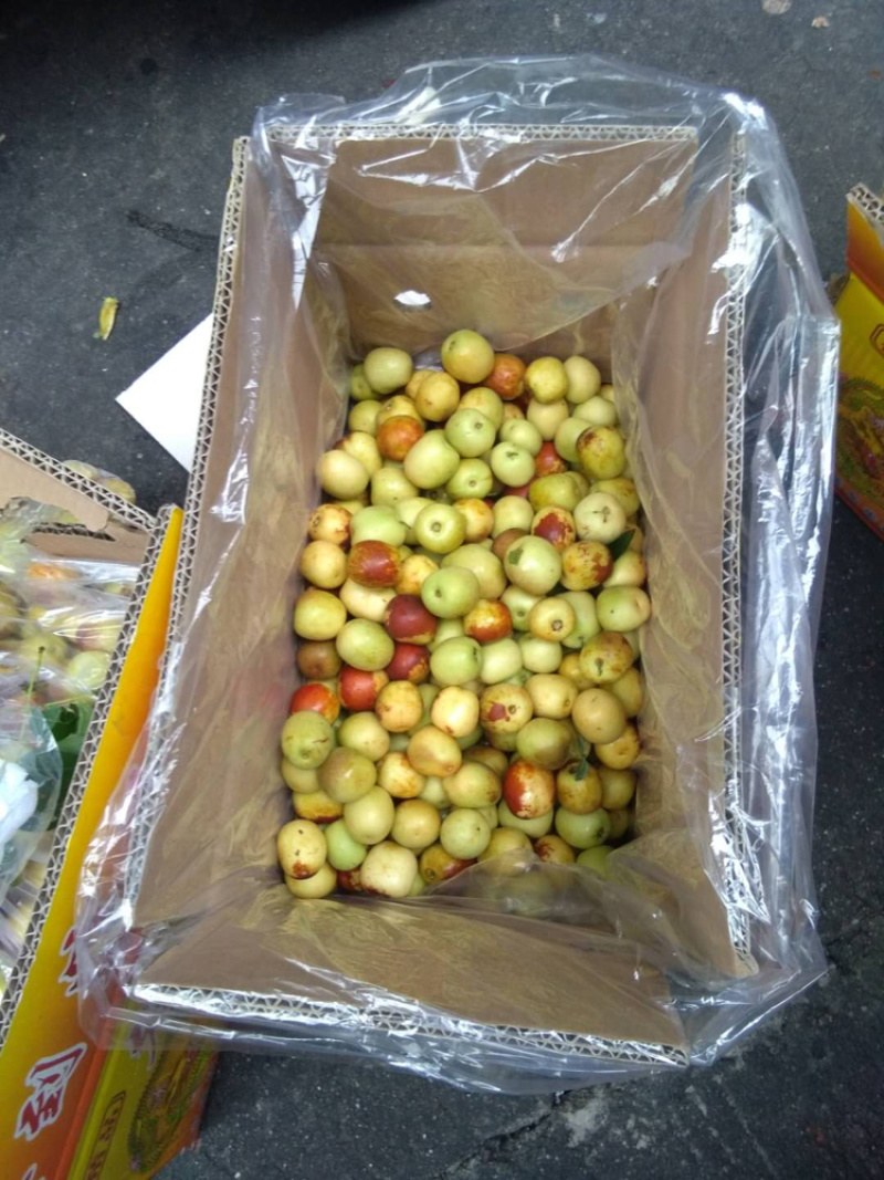 冬枣，青枣，蜜桔，葡萄，苹果