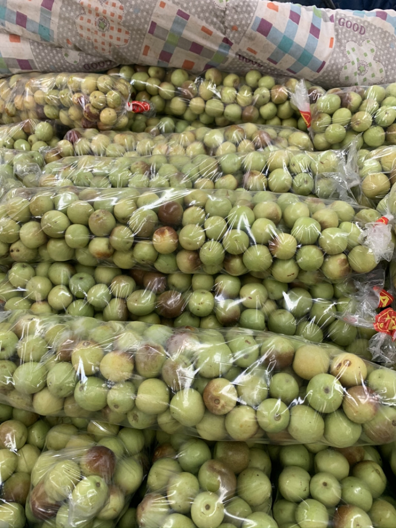 冬枣，青枣，蜜桔，葡萄，苹果