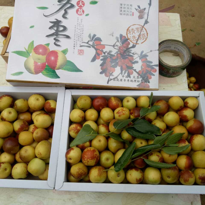 冬枣，青枣，蜜桔，葡萄，苹果