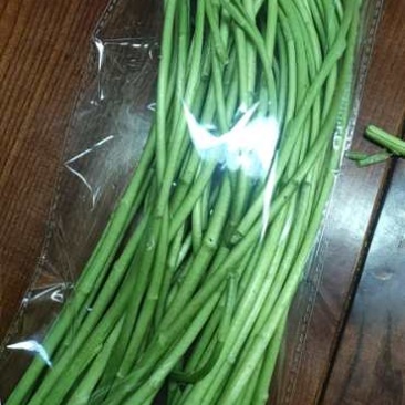 芦蒿，泥蒿，青芦蒿，产地当天直发，千亩基地