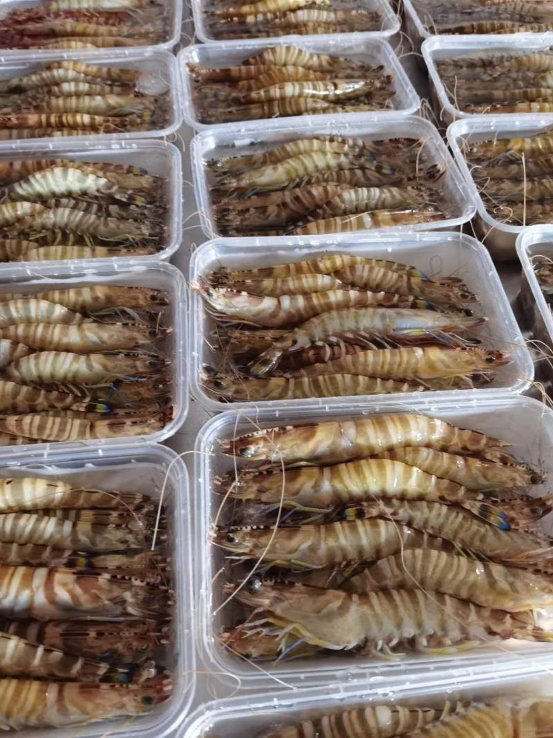 花虾13-15只一斤[得意]肉质好吃的很