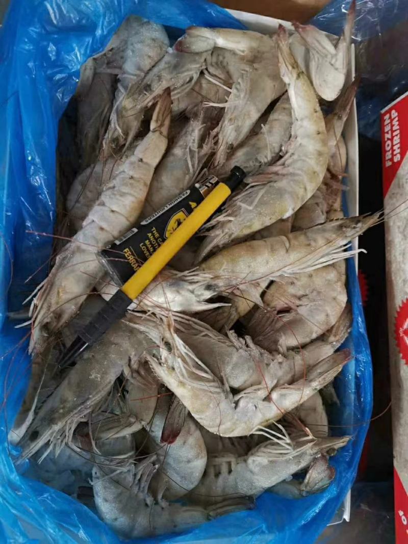 原装王牌盐冻南美白对虾青虾量大可谈