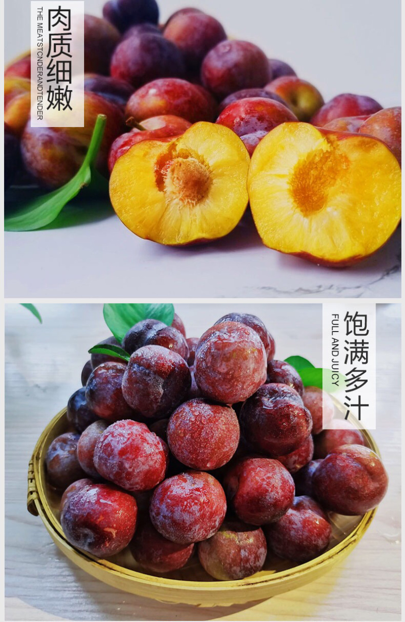 红翠李翠红李脆红李红脆李职业代办