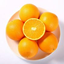 [一件玳发]四川金堂脐橙电商供应链金堂脐橙