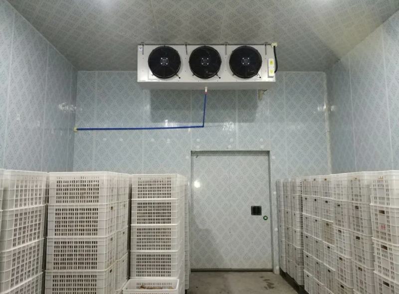 四川冷库全套制冷设备小型果蔬保鲜冷藏库商用食品冷冻库安装
