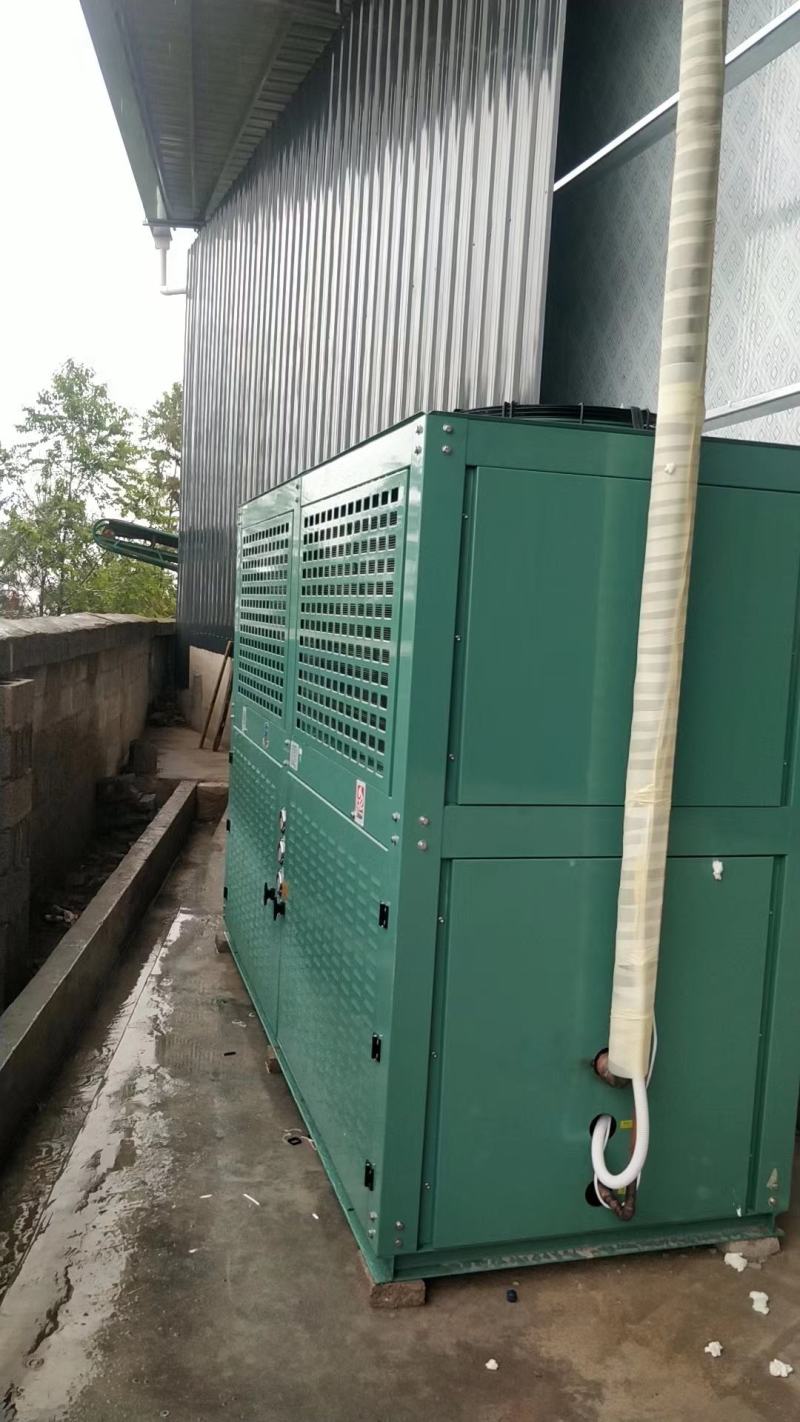 水果蔬菜鲜花保鲜库肉类海鲜冷冻库小型冷库全套设备厂家定制