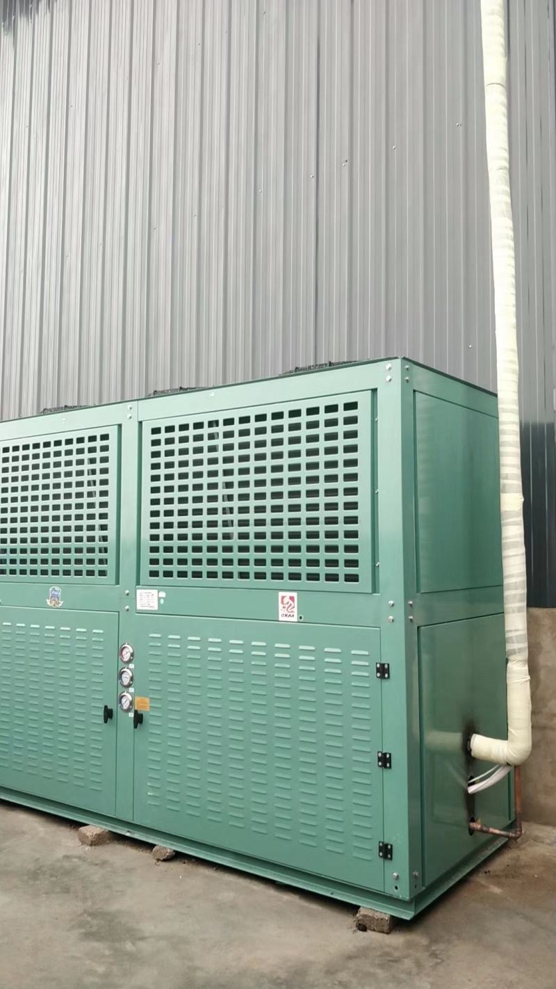 水果蔬菜鲜花保鲜库肉类海鲜冷冻库小型冷库全套设备厂家定制