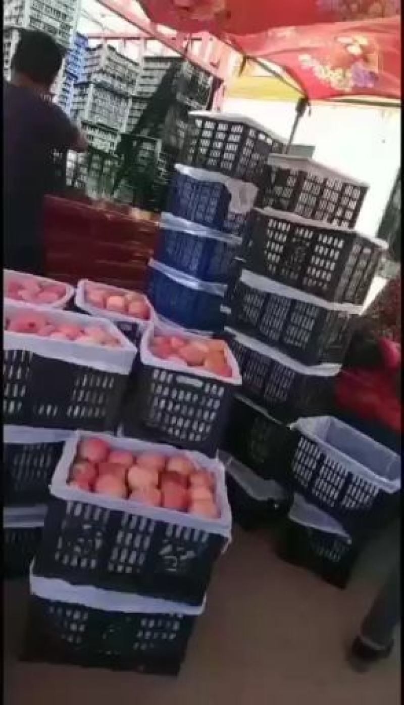 精品山西万荣纸袋新红星苹果个大颜色两脆甜多汁果园现摘现发