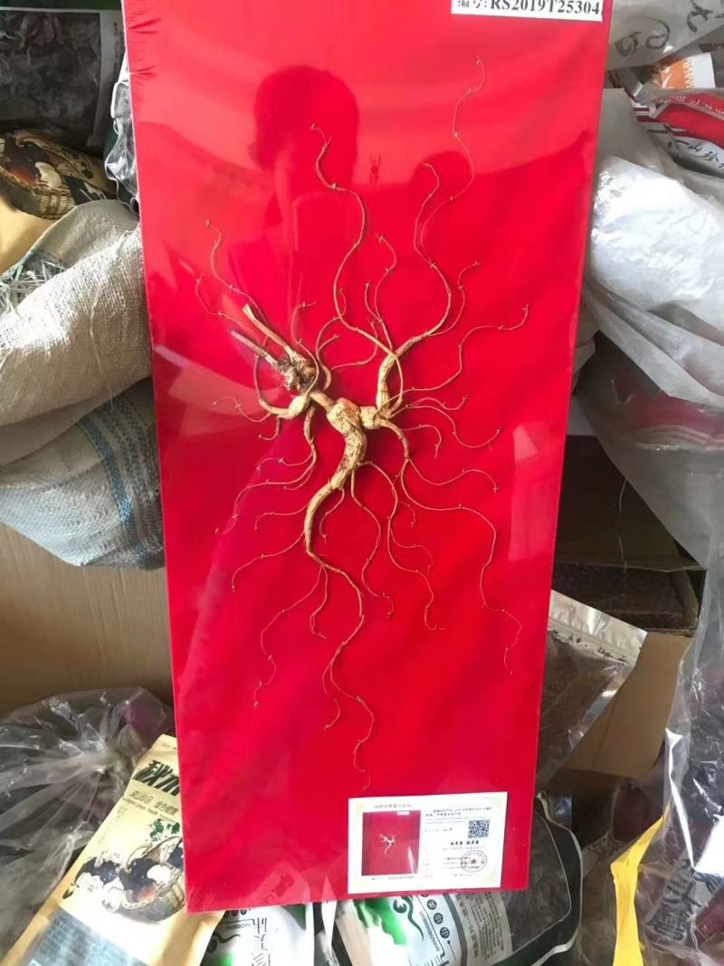 林下参精美礼盒，采用多年林下生长人参，手工缝板