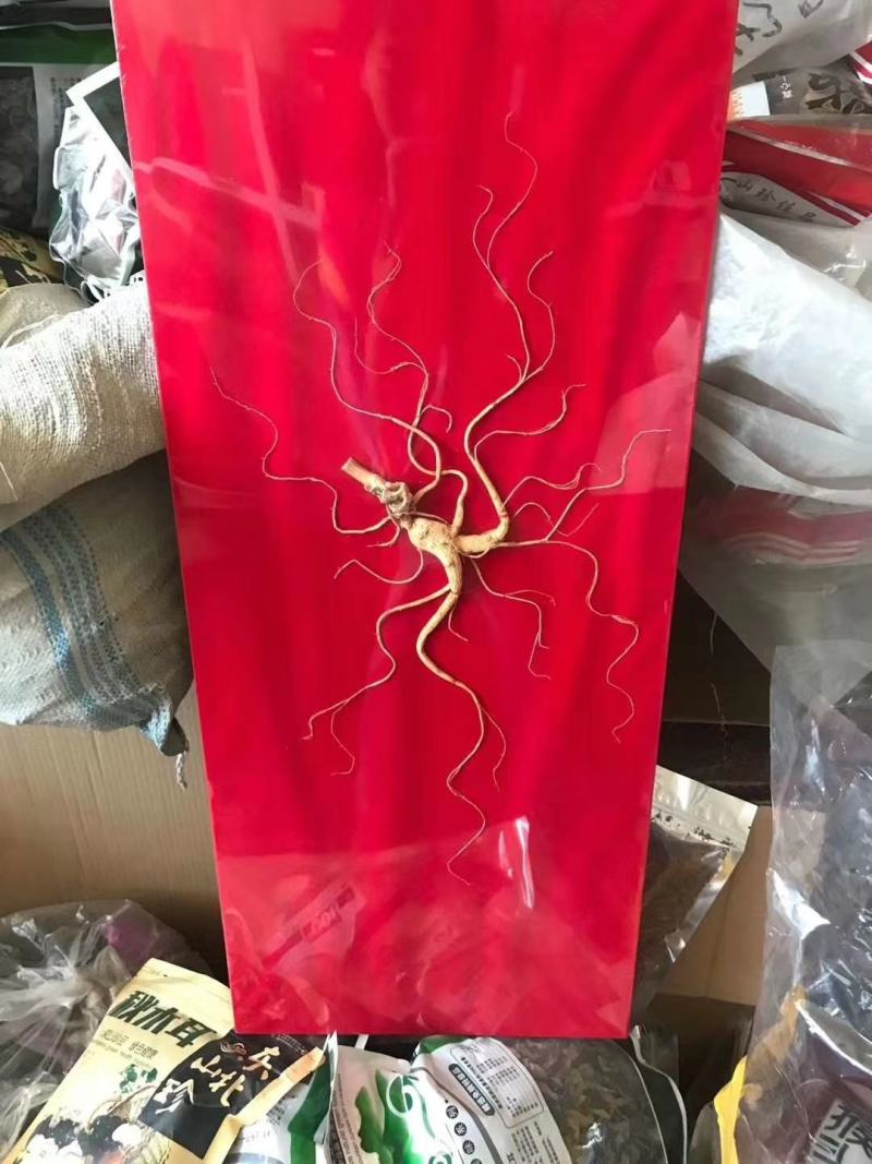 林下参精美礼盒，采用多年林下生长人参，手工缝板