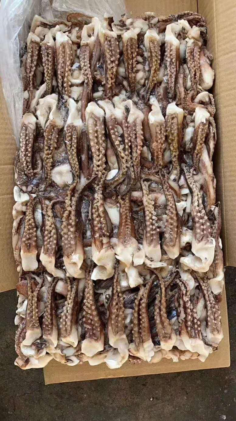 冷冻：章鱼足，鱿鱼片，鱿鱼头，山东威海特产