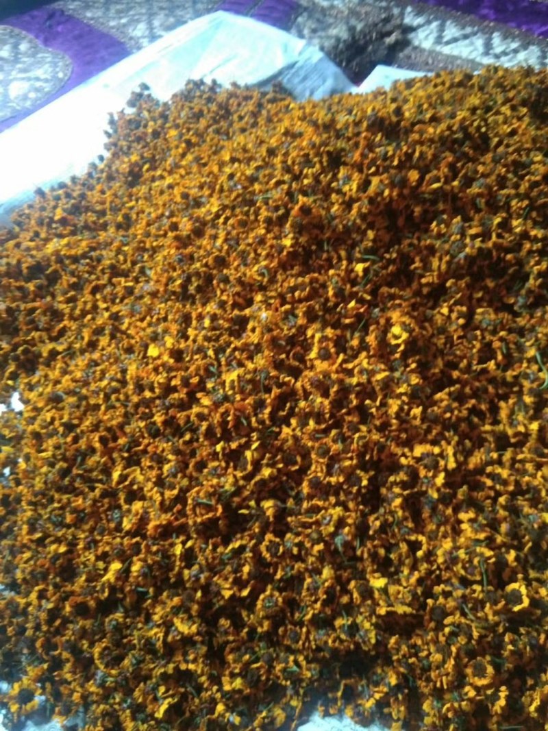新疆特产海波3200米高原昆仑山雪菊花茶