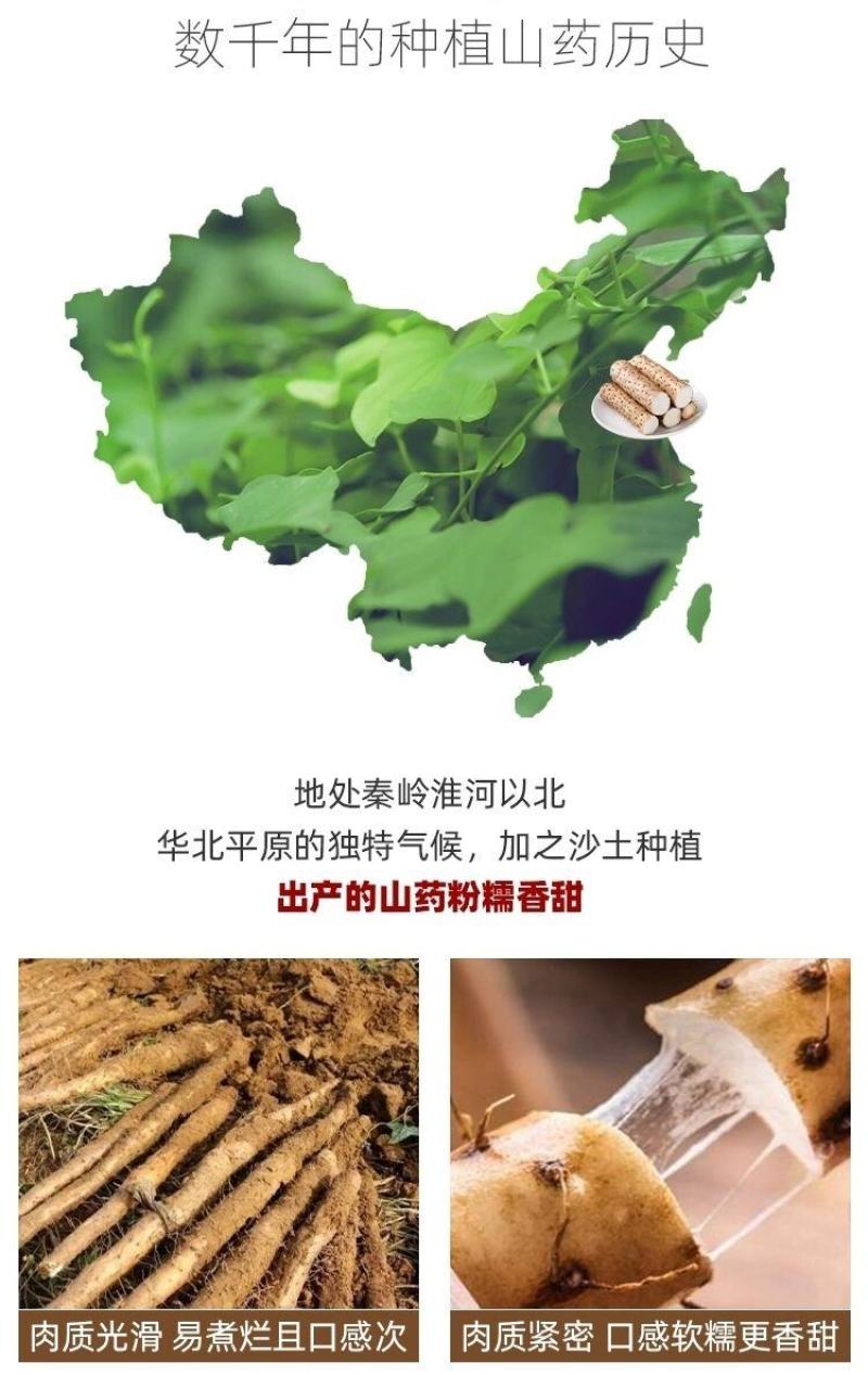 铁棍山药粉条特产怀山粉丝重庆火锅酸辣粉鸭血粉丝粗粉条粉丝