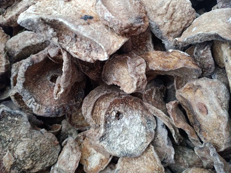 魔芋干，魔芋片无硫干品，质量保证！欢迎咨询选购