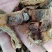 榆树皮，榆白皮干净无杂质量保证，量大从优！