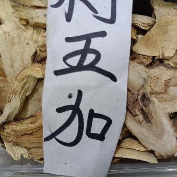 刺五加，刺五加片干净无杂质量保证欢迎选购量大从优！