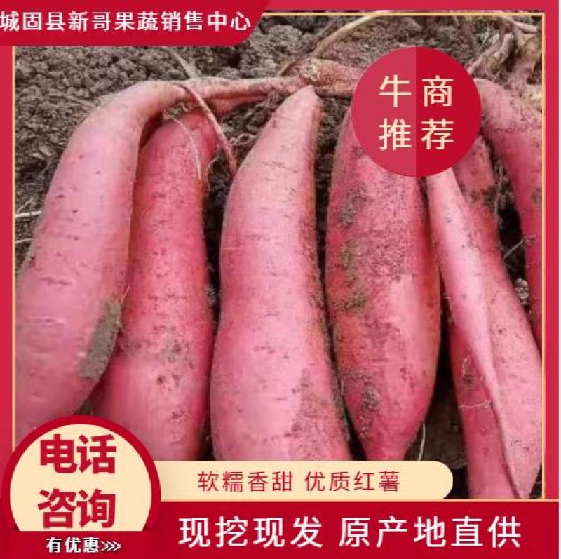 陕西汉中红薯】板栗红薯甘面甜产地直发：货源充足【现货】