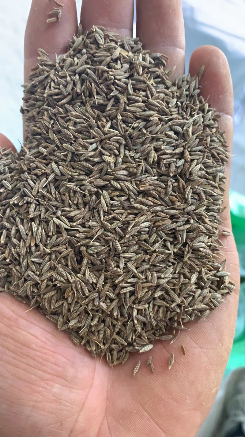 精品新疆孜然颗粒饱满香味浓精品新标孜然批发包邮