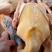 散养红头鸭大量供应白条上市原粮喂养品质保证