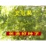 新采收文冠果种子文冠果树种子文冠果树苗种子绿化树苗