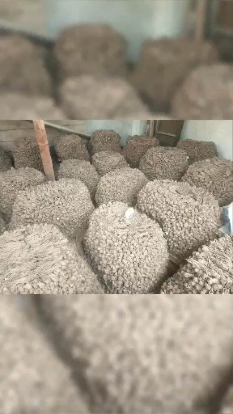 当归自产自销薄利多销