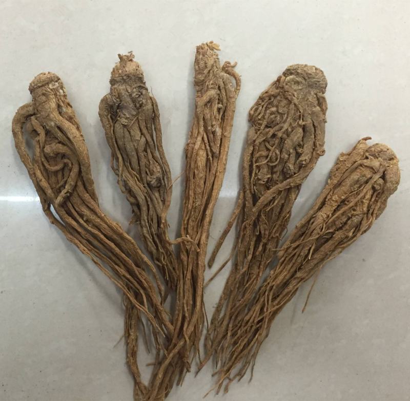 当归自产自销薄利多销