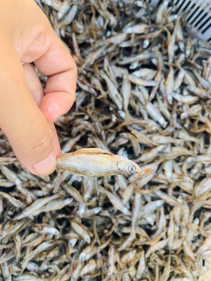 盐水开肚小白条，少量有货