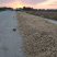 花生、鲜货带壳干货带壳基地