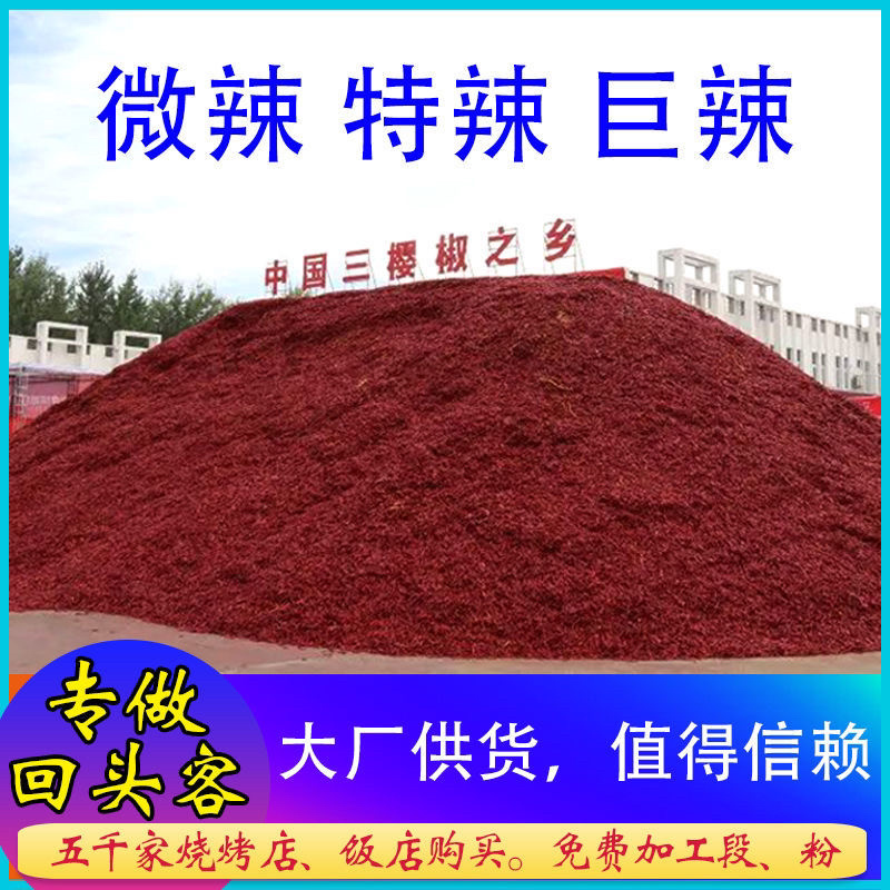 干辣椒朝天椒微辣辣椒厂家直发切断打粉量大优惠