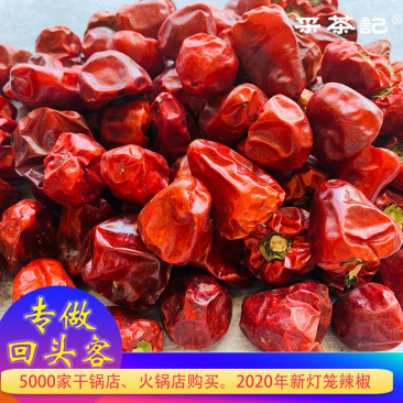 灯笼椒微辣特香辣椒现货直发大量库存量大优惠