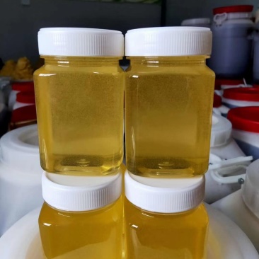 自产自销岷县中药材蜂蜜