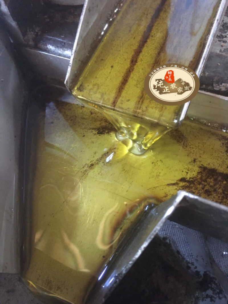 醇香茶油传统压榨不添加不勾兑