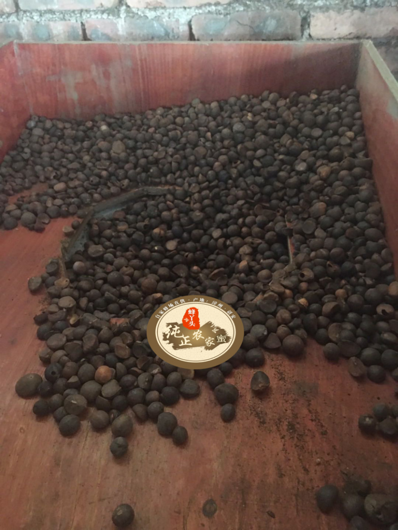 醇香茶油传统压榨不添加不勾兑