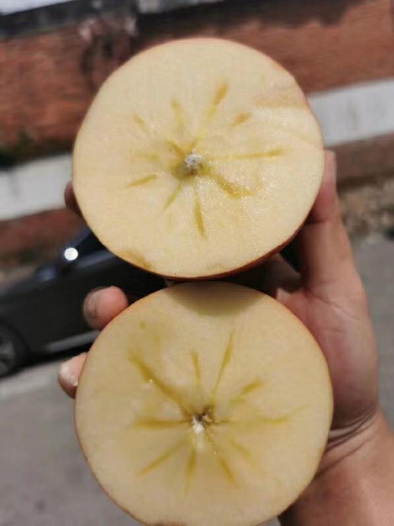[一件玳发]四川凉山盐源糖心丑苹果电商供应链丑苹果