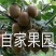 徐香优质猕猴桃热卖中