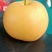 大量秋月梨上市，需要的联系我