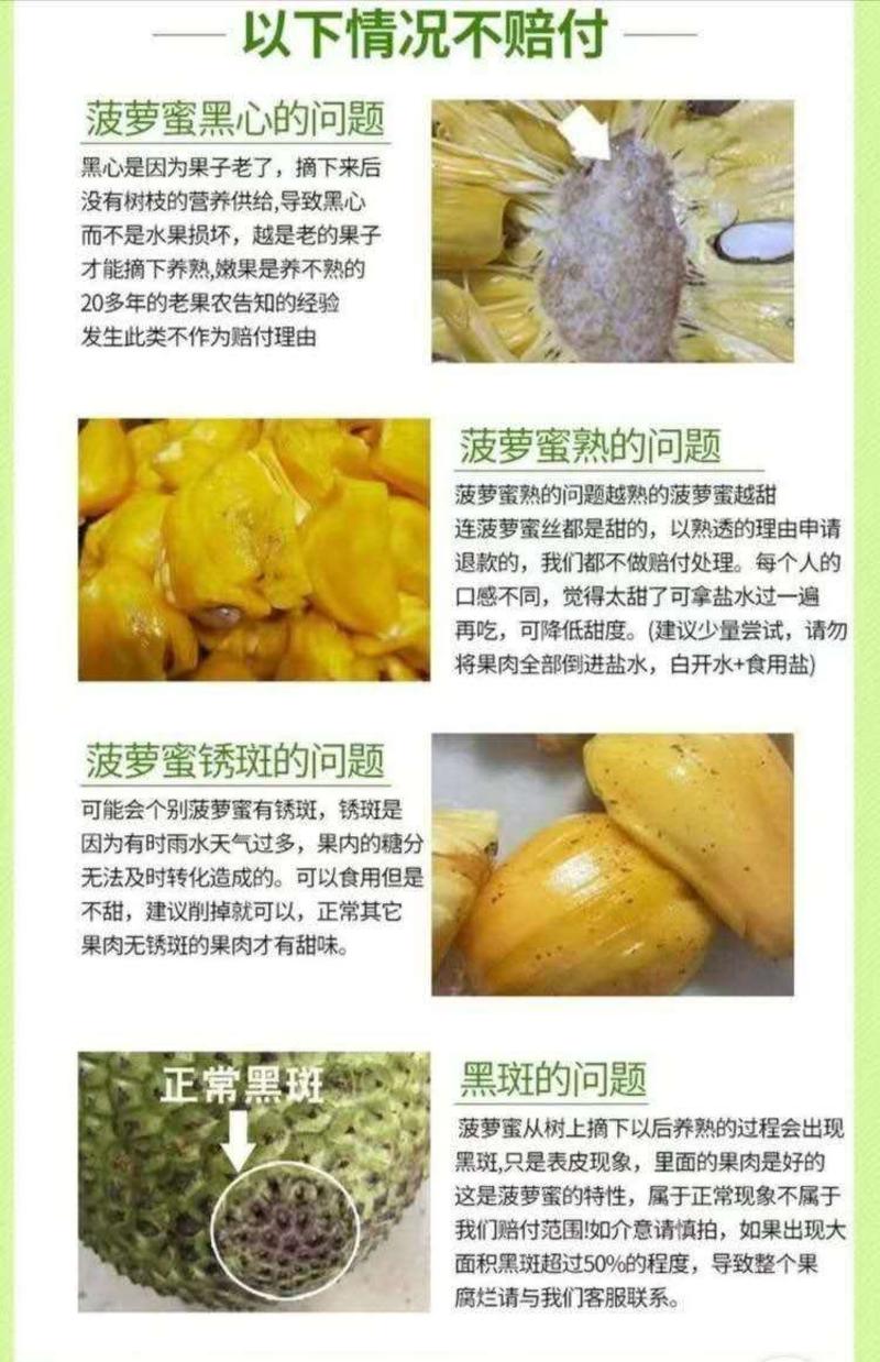 海南菠萝蜜包邮海南热带新鲜水果海南特产菠萝蜜一件代发