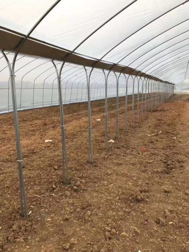 大棚骨架蔬菜大棚养殖大热镀锌钢管大棚包塑钢管大棚全套配件