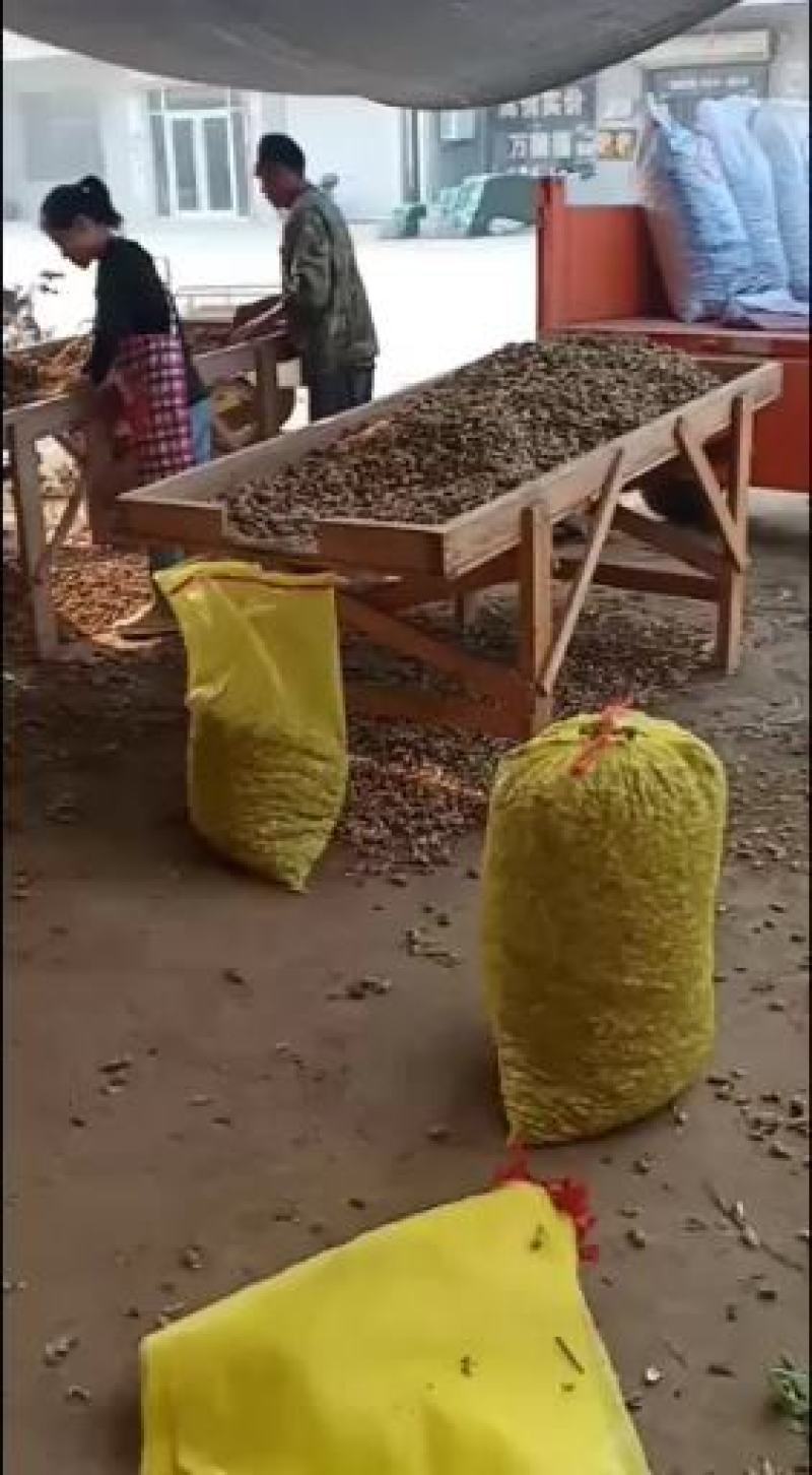 江苏徐州精品大白沙大量有货