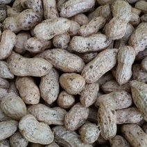江苏徐州精品大白沙大量有货