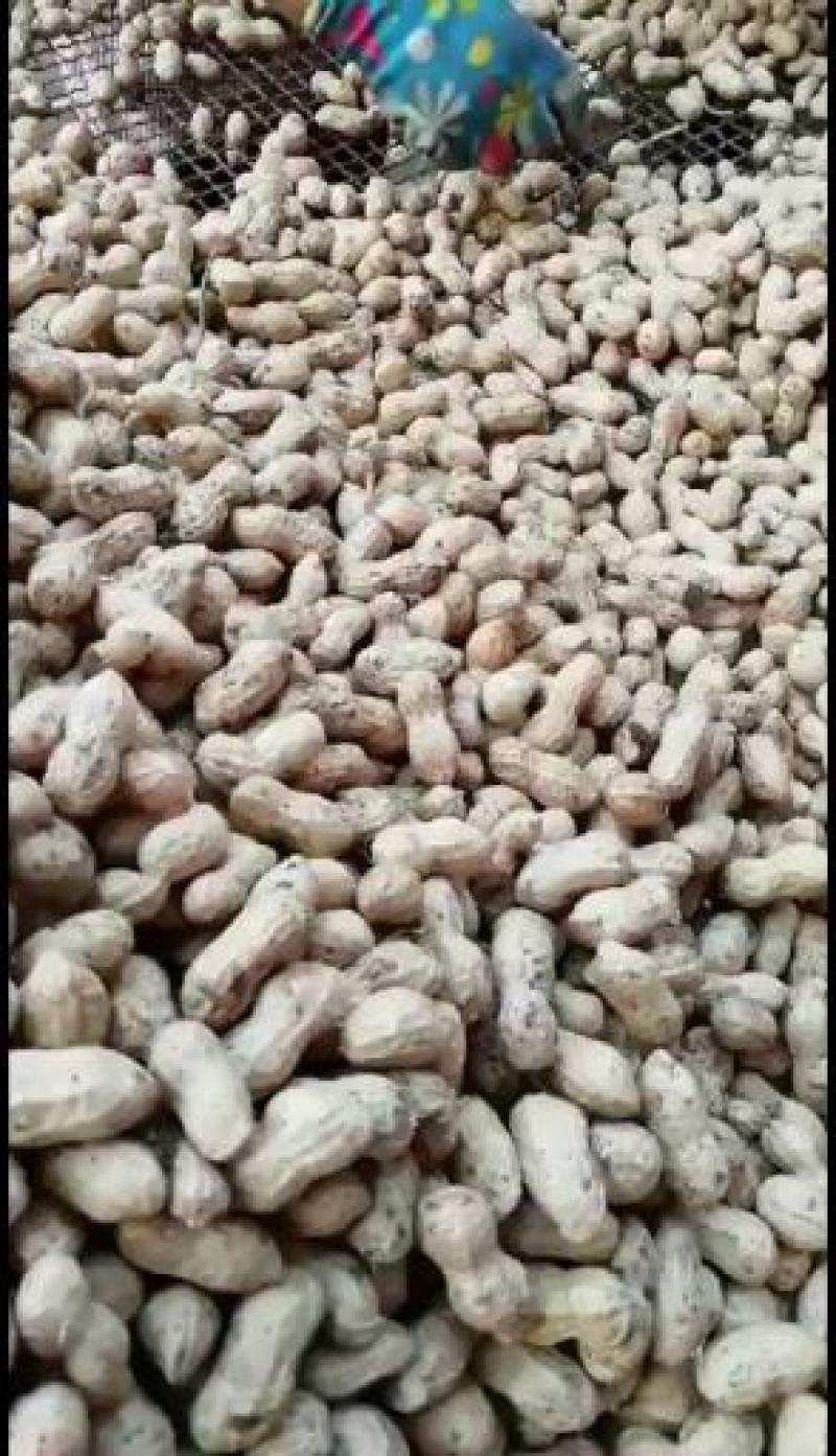江苏徐州精品大白沙大量有货