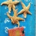 海星，干海星，海王星，五角星，中药材海星，泡酒煲汤
