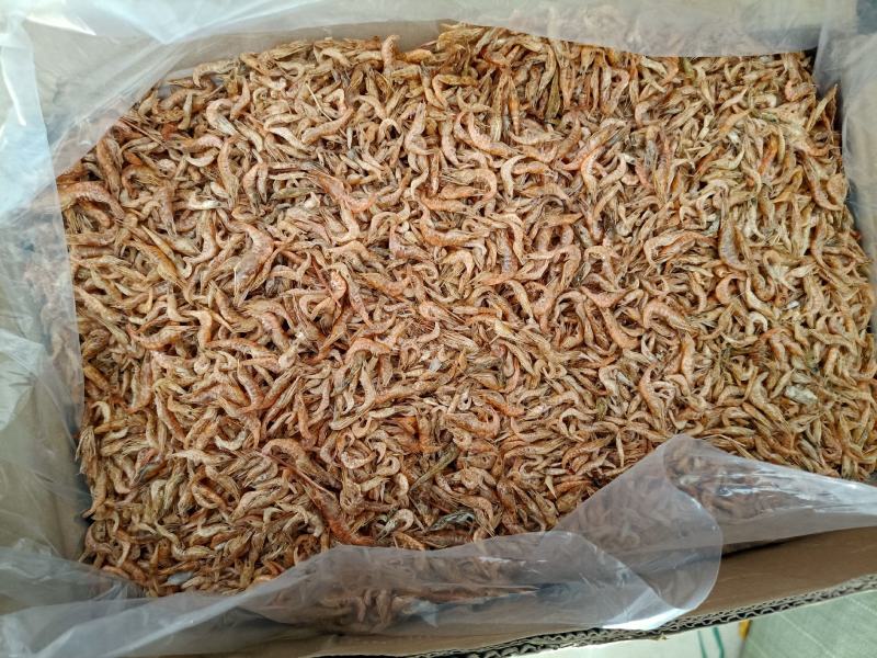 虾干淡水虾干晒虾颜色好干度靓